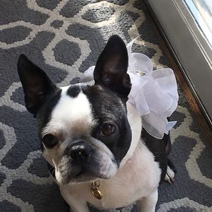 Meet your Posher, Michele